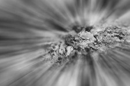 Black and white photography. Beautiful black and white background of crystals and abstract rays. Macro.の写真素材