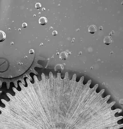 Black and white. Metal gear in oil. Car service concept. Oil change in mechanisms, engines, motors.の写真素材