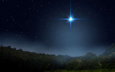 Fog is rising over the night forest. Bright star indicates the Nativity of Jesus Christ in the starry sky.の写真素材
