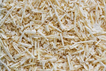 wood shavings, sawdust in a carpentry workshopの写真素材