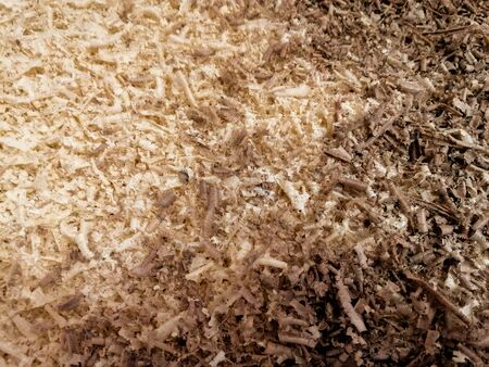 creative idea for background. wood shavings, sawdust in a carpentry workshopの写真素材