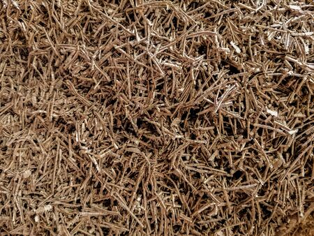 creative idea for background. wood shavings, sawdust in a carpentry workshopの写真素材