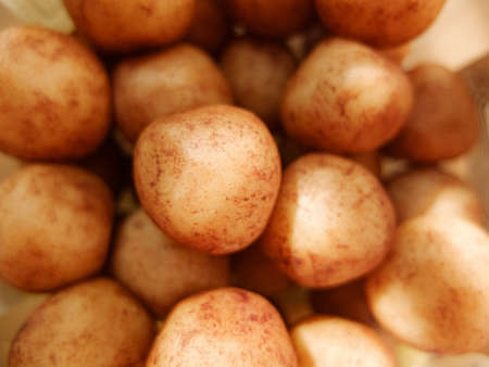 balls of almond marzipan close upの写真素材