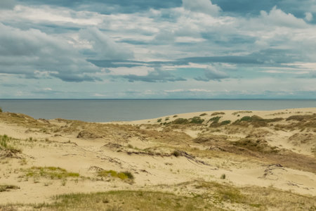 Curonian Spit is a nature reserve. Unique sand dunes on the Baltic coast.の写真素材