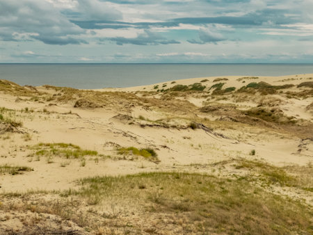 Curonian Spit is a nature reserve. Unique sand dunes on the Baltic coast.の写真素材