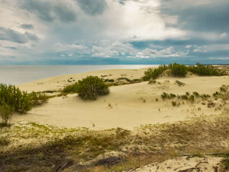 Curonian Spit is a nature reserve. Unique sand dunes on the Baltic coast.の写真素材