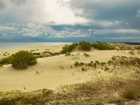 Curonian Spit is a nature reserve. Unique sand dunes on the Baltic coast.の写真素材