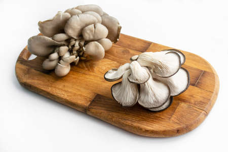oyster mushrooms close-up on a white backgroundの写真素材