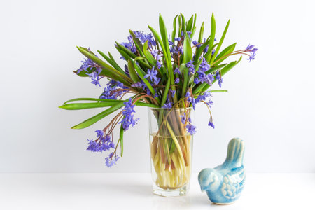 delicate bouquet of first spring flowers on a white backgroundの写真素材
