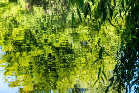 creative ideas for the background. impressionistic reflection of the greenery of trees in the waterの写真素材