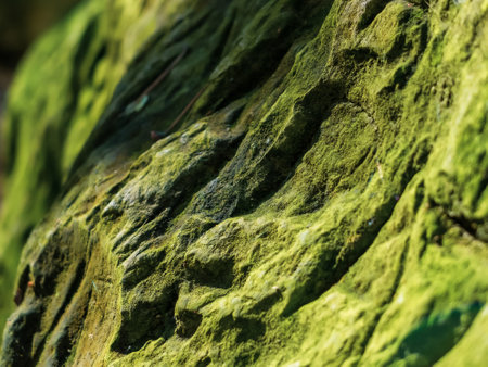 creative idea for background. ancient stone overgrown with green moss