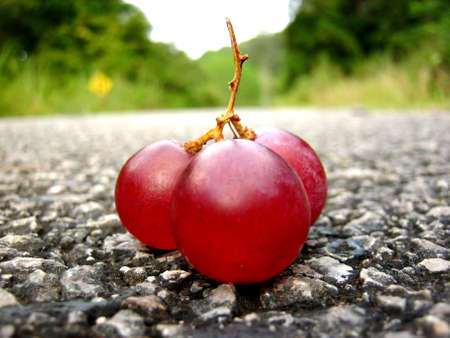 Grape on the road