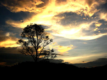 sky of eveningの写真素材
