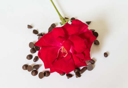 red rose with chocolate on white backgroundの写真素材