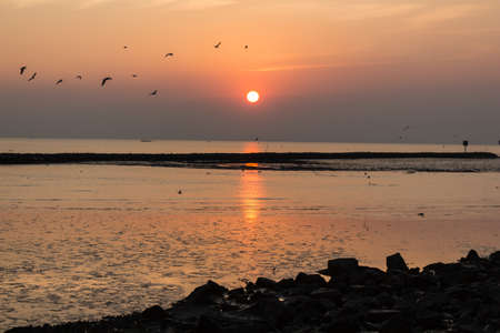 sunsetの写真素材