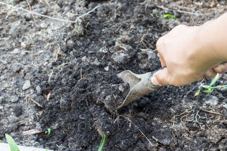 hand digging the soil with spadeの写真素材