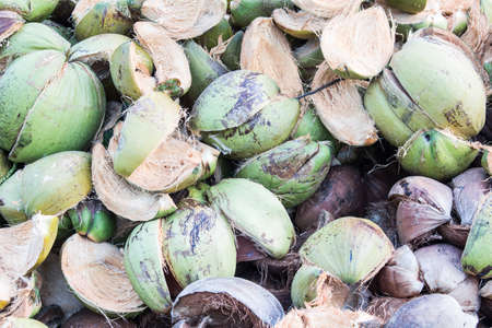 Coconut shellの写真素材