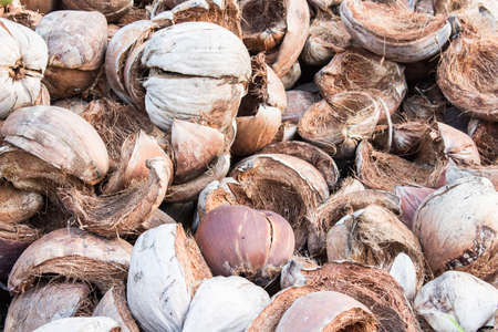 Coconut shellの写真素材