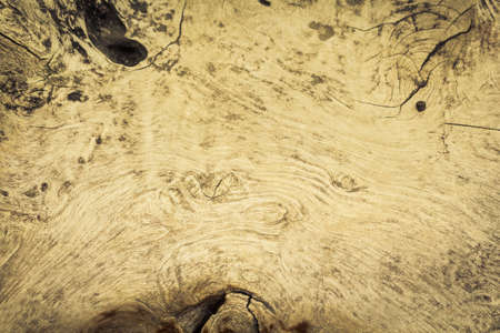 old wood texture background