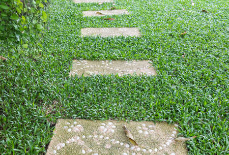 cement or stone path in the park on green grassの写真素材