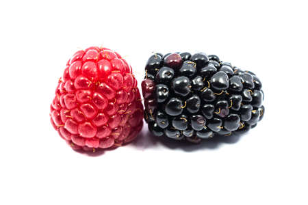 blackberry and raspberry isolated on white backgroundの写真素材