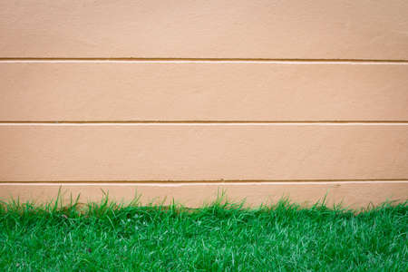 Wall Background on green grassの写真素材