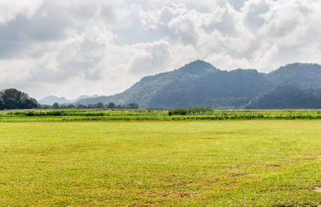 Field of spring grass and mountain on blue skyの写真素材