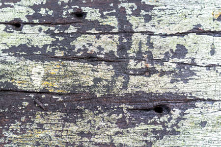 Old wood cracked texture backgroundの写真素材