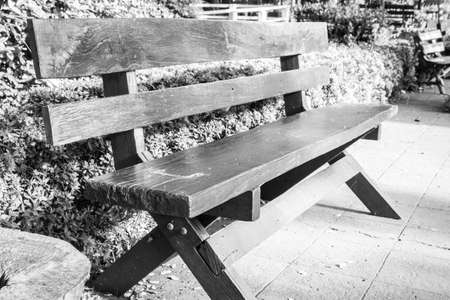 Chairs in the garden,black and white toneの写真素材