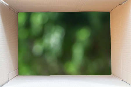 Inside of brown cardboard box with green nature background, blurred bokehの写真素材