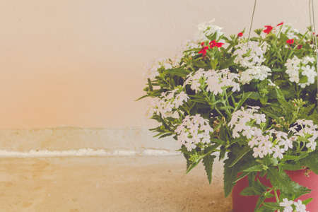 Still life with flowers on wall background - vintage toneの写真素材