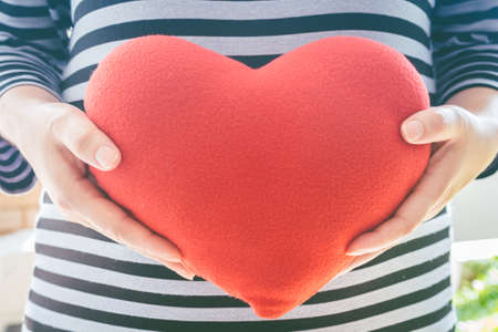 Red heart in woman handsの写真素材