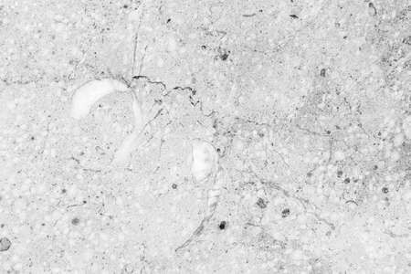 White marble textureの写真素材