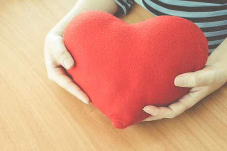 Red heart in woman handsの写真素材
