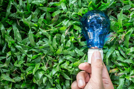 Hand holding light bulb on green grassesの写真素材