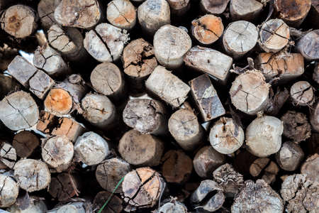 Wood backgroundの写真素材