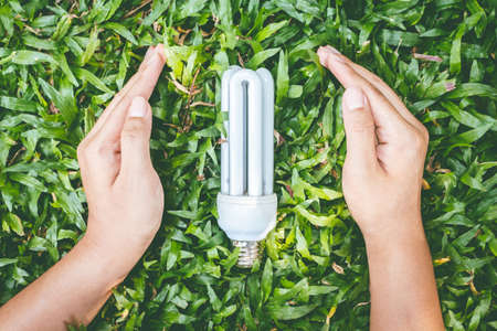 Hands guarding energy saving eco lampの写真素材