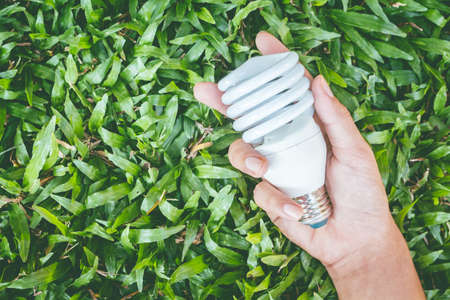 Light bulb in hand with energy saving eco lampの写真素材