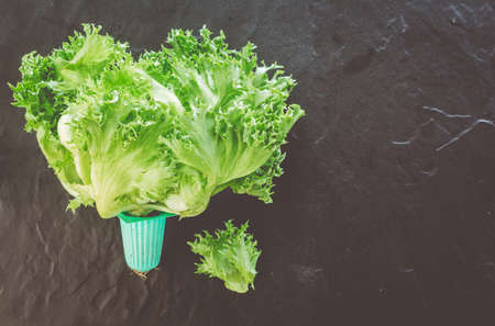 Green vegetables on black background - healthy eating conceptの写真素材