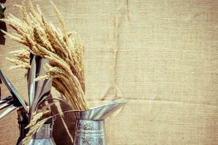 Ears of wheat on a brown backgroundの写真素材