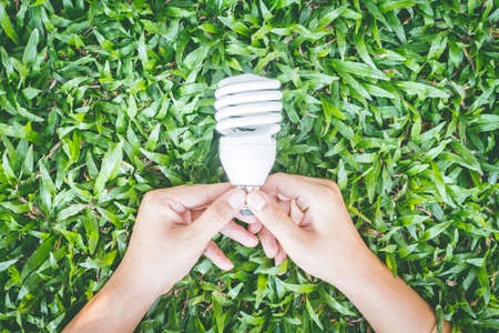 Light bulb in hand with energy saving eco lampの写真素材