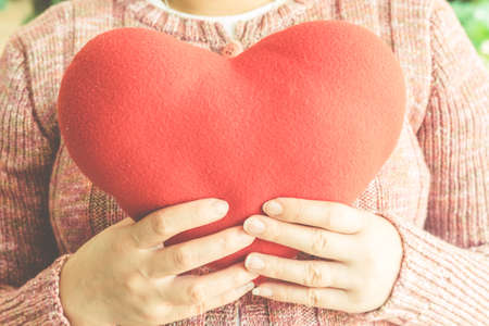 Red heart in woman handsの写真素材