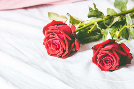 Red roses on bed backgroundの写真素材