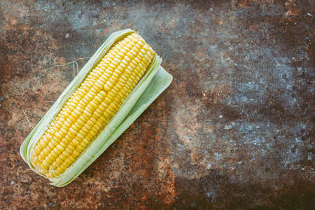 Corn cobsの写真素材