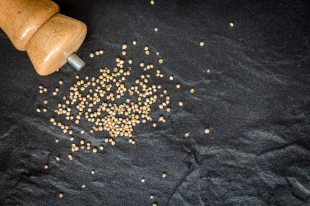 Pepper on black backgroundの写真素材
