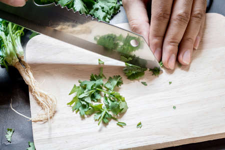 Chef chopping parsley leaves with a knife on a cutting boardの写真素材