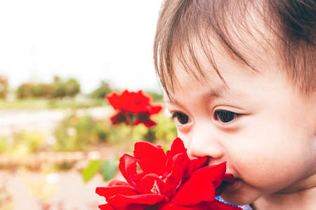 Baby boy with red rose flower in gardenの写真素材