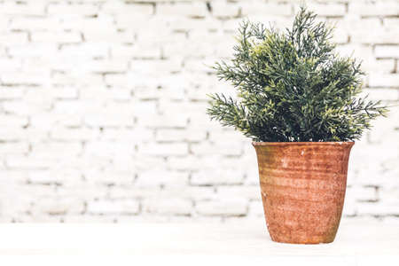 Interior style home decor with tree on table with white brick wall background