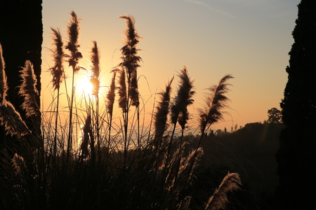 sunsetの写真素材