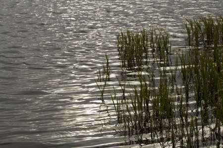 Shiny beams of sunshine flowing over a loch at Duskの写真素材